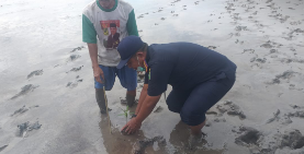 DKP Riau Edukasi Mangrove untuk Jaga Pulau Terluar