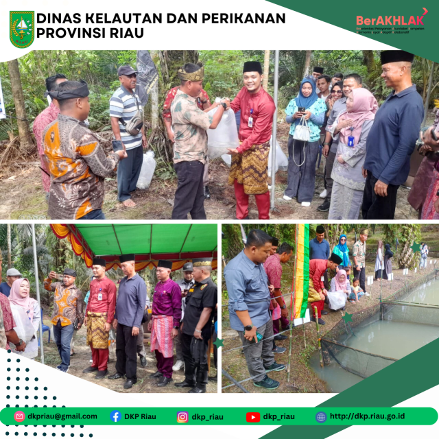 DKP Provinsi Riau menyerahkan bantuan Benih Ikan Patin sebanyak 30.300