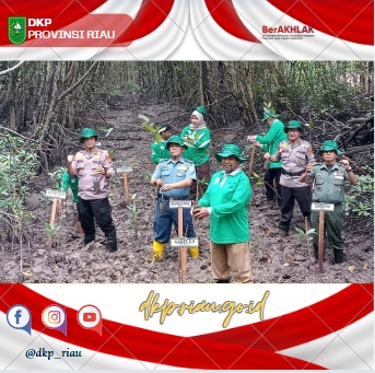 Penanaman Bibit Mangrove Di Kawasan Hutan Mangrove Universitas Riau Purnama Dumai