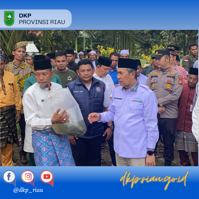 Gubernur Riau Tebar dan Serahkan Benih Ikan Patin 12.000 ekor, Nila 3.000 ekor dan Lele 5.000 ekor Total bantuan 20.000 ekor di Desa Rantau Binuang Sakti Kecamatan Kepenuhan Kabupaten Rokan Hulu
