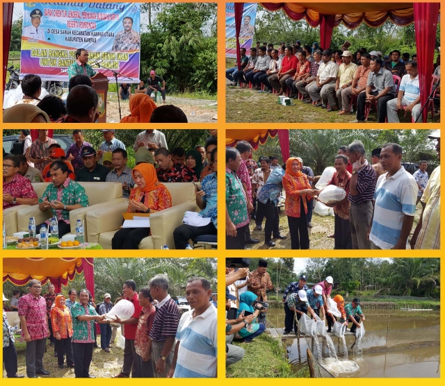 KUNJUNGI BALAI BENIH IKAN SENTRAL SEI TIBUN DAN PEMBERIAN BANTUAN BENIH IKAN DALAM RANGKA KUNJUNGAN KERJA DIREKTORAT JENDERAL PERIKANAN BUDIDAYA KE PROVINSI RIAU