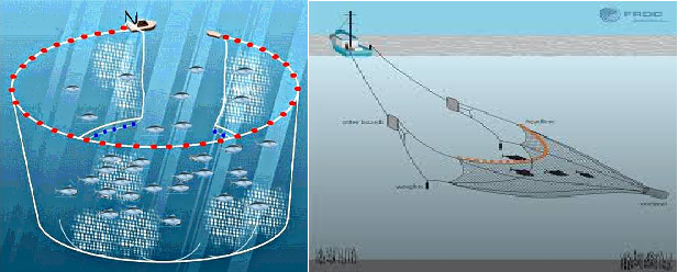 Menteri Kelautan dan Perikanan Imbau Pengusaha Perikanan Perbaharui SIUP Sesuai Penamaan Alat Tangkap Baru