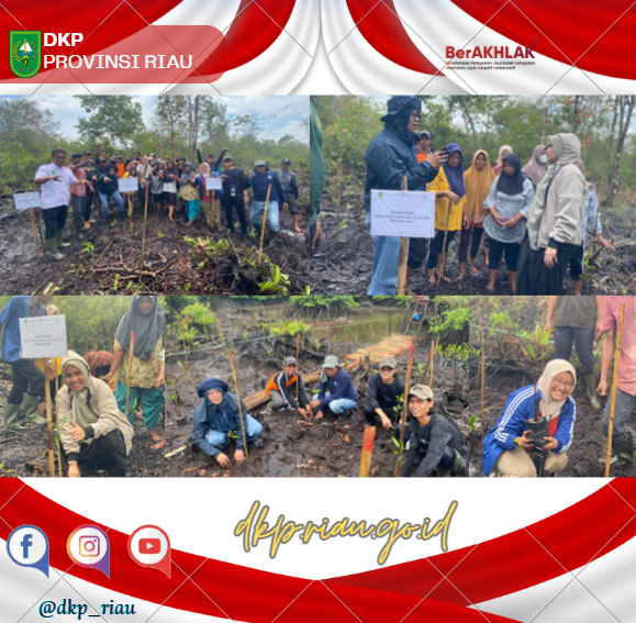 DKP Provinsi Riau Tanam Mangrove bersama POKMASWAS IGAL BERTUAH Di Desa Igal Kecamatan Mandah Kabupaten Indragiri Hilir