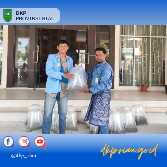 DKP Provinsi Riau menyerahkan Bantuan Benih Ikan ke Mahasiswa KKN Integrasi UR Kabupaten Kuantan Singingi