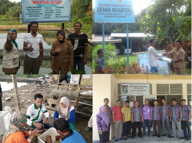 Sekilas Pandang Penyuluh Perikanan