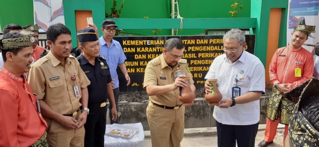PROVINSI RIAU BERHASIL MEMBUKA PINTU EKSPOR KERANG DARAH (ANADARA GRANOSA) KE NEGERI GAJAH PUTIH THAILAND