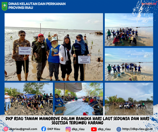 DKP Riau Tanam Mangrove dalam Rangka Hari Laut Sedunia dan Hari Segitiga Terumbu Karang