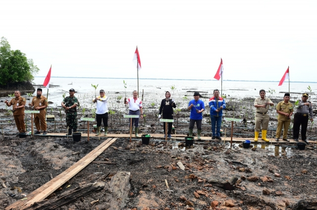 DKP RIAU IKUTI ACARA HARI MANGROVE SEDUNIA PROVINSI RIAU