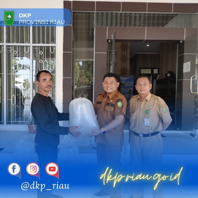 DKP Provinsi Riau Menyerahkan Bantuan Benih Ikan Patin Dan Ikan Baung Ke Pemuda Berkarya Perikanan Kp. Jayapura Kecamatan Bungaraya