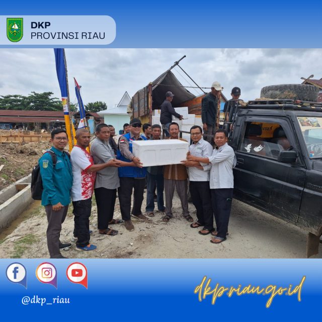 DKP Menyerahkan Pesanan Riau Benur Udang Vanamei PL 12 di UPT. Pelabuhan Dumai.